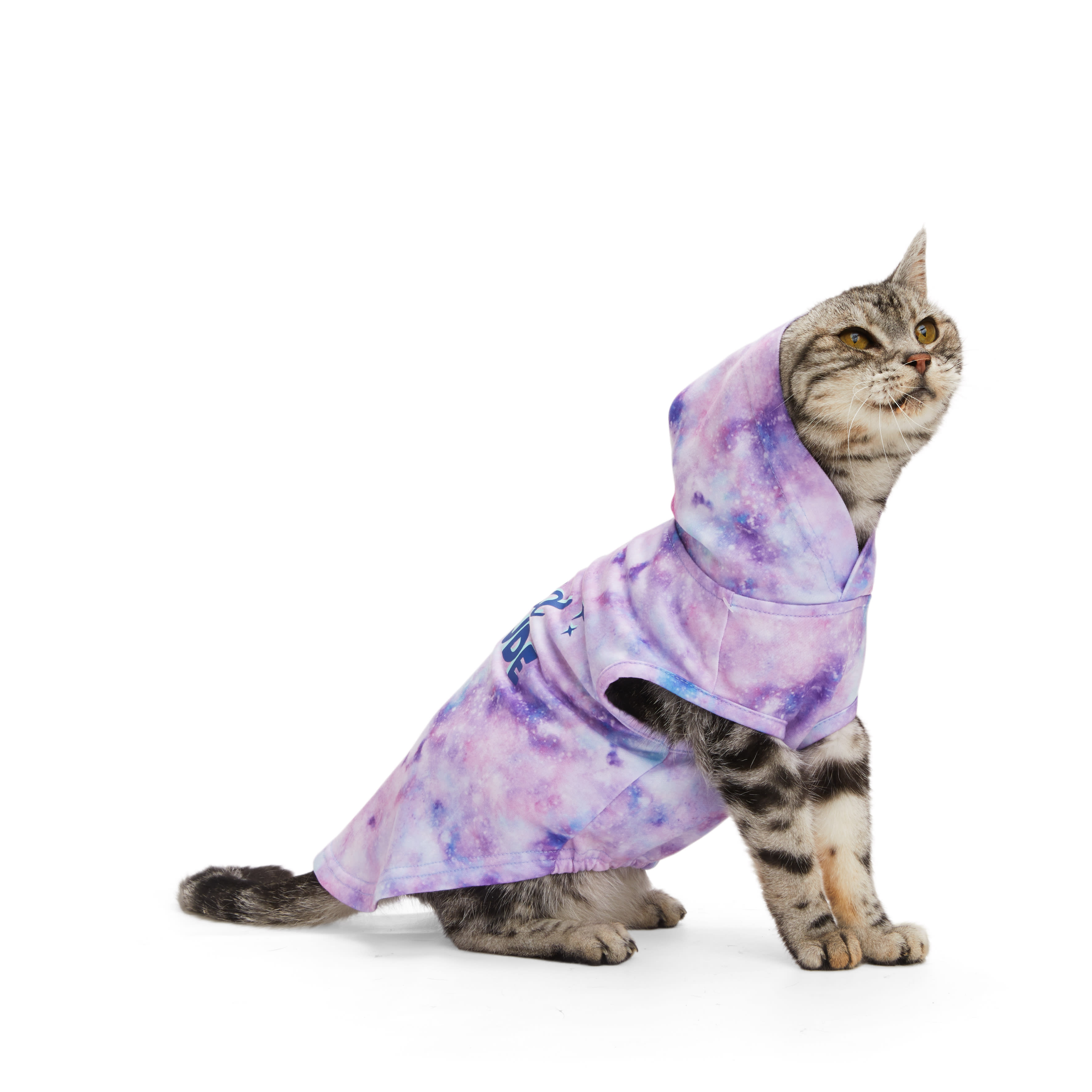 YOULY Space Cat Hoodie， Small/Medium