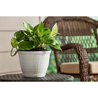 Vigoro 8 in. Adeline Small Ivory Recycled Plastic Planter (8 in. D x 6 in. H) with Attached Saucer DP1471PDPS1471