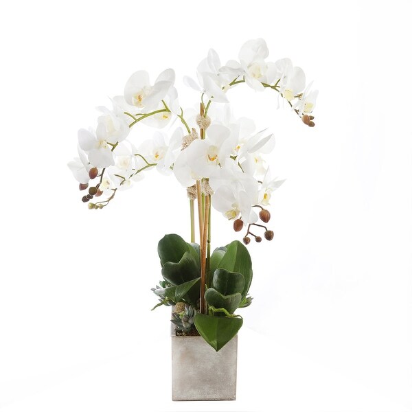 Modern Cream White Real Touch Silk Orchid Arrangement