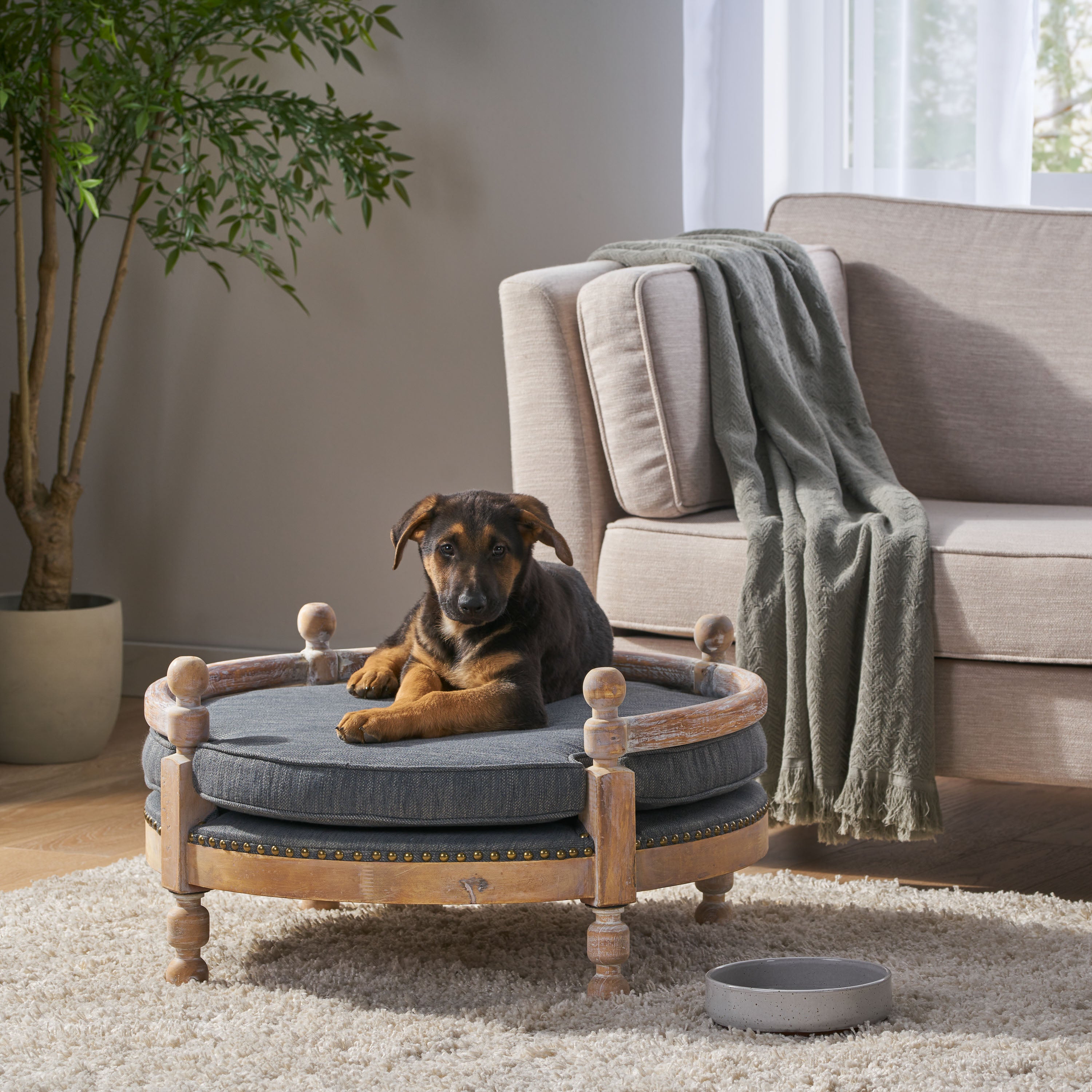 Corbett Contemporary Upholstered Medium Pet Bed with Wood Frame