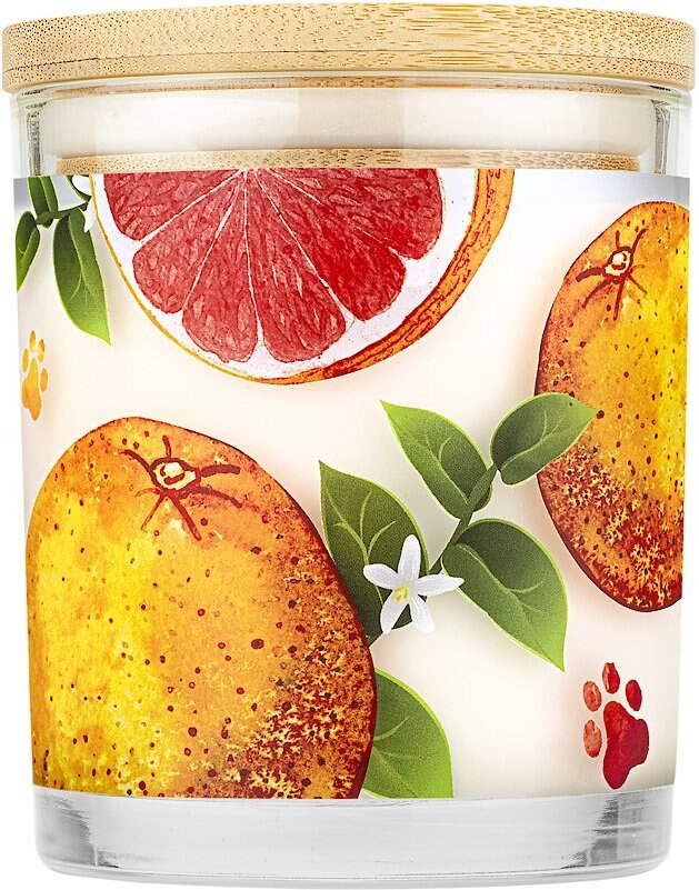 Pet House Ruby Red Grapefruit Natural Soy Candle