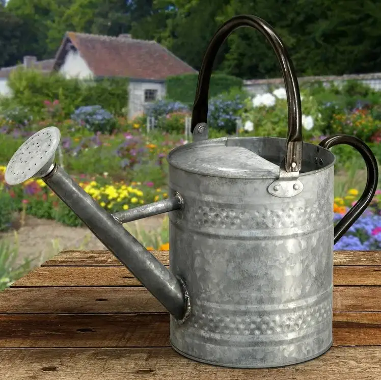 Antique silver metal watering can for outdoor and indoor plants flowers watering can Home Garden wholesale 2023 made in india