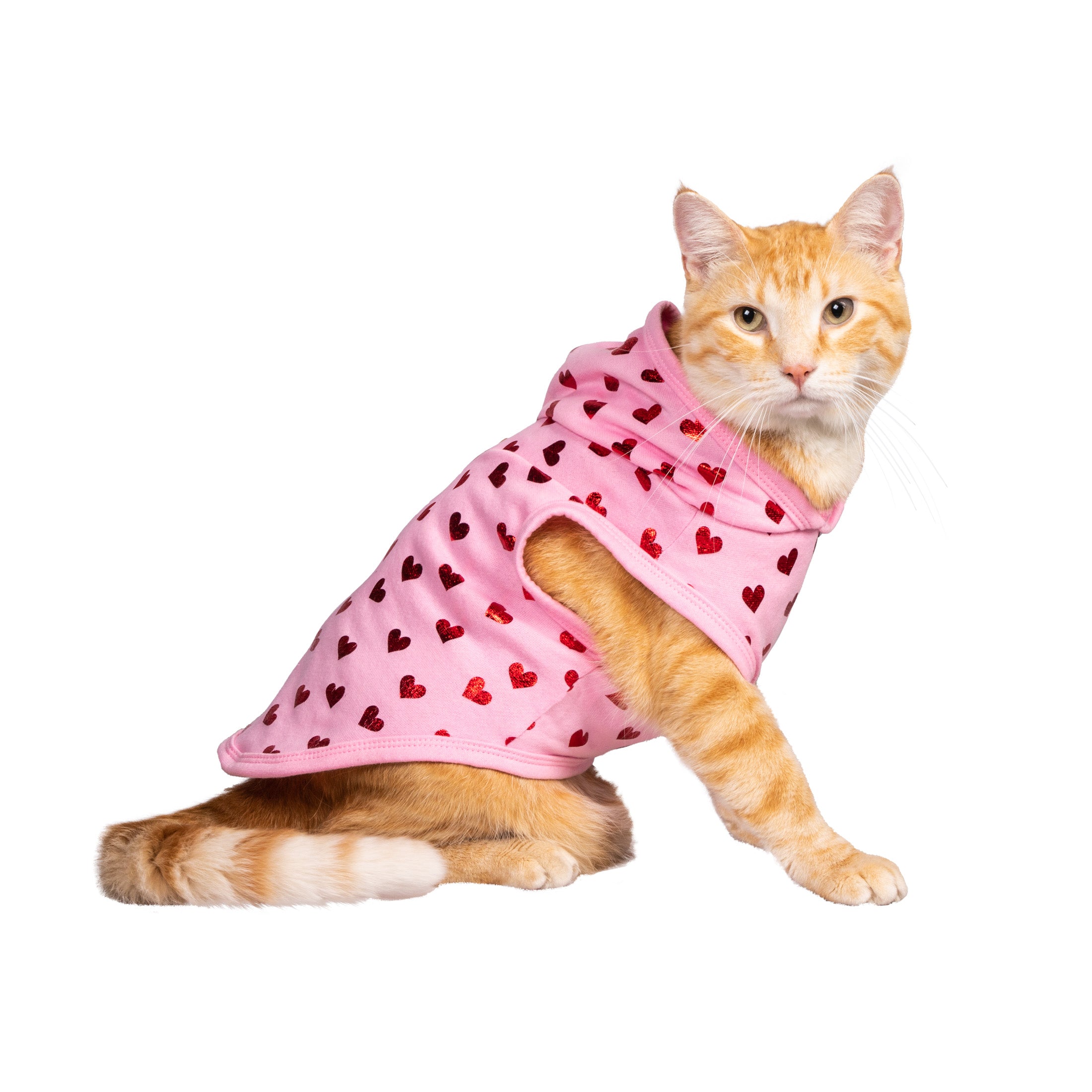 Vibrant Life， Dog and Cat Clothes， Red Hearts Valentine Pet Hoodie， Pink， XS