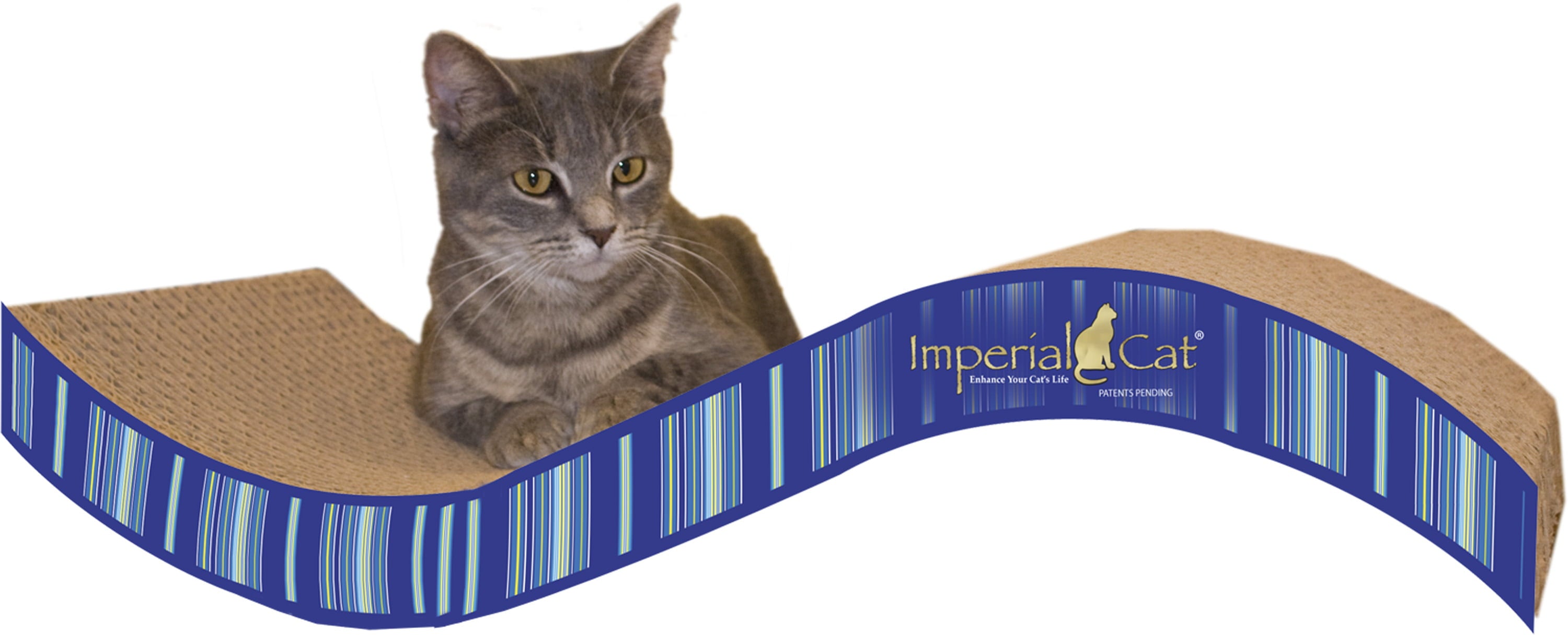 Imperial Cat Scratch 'n Shapes Medium Purrfect Stretch