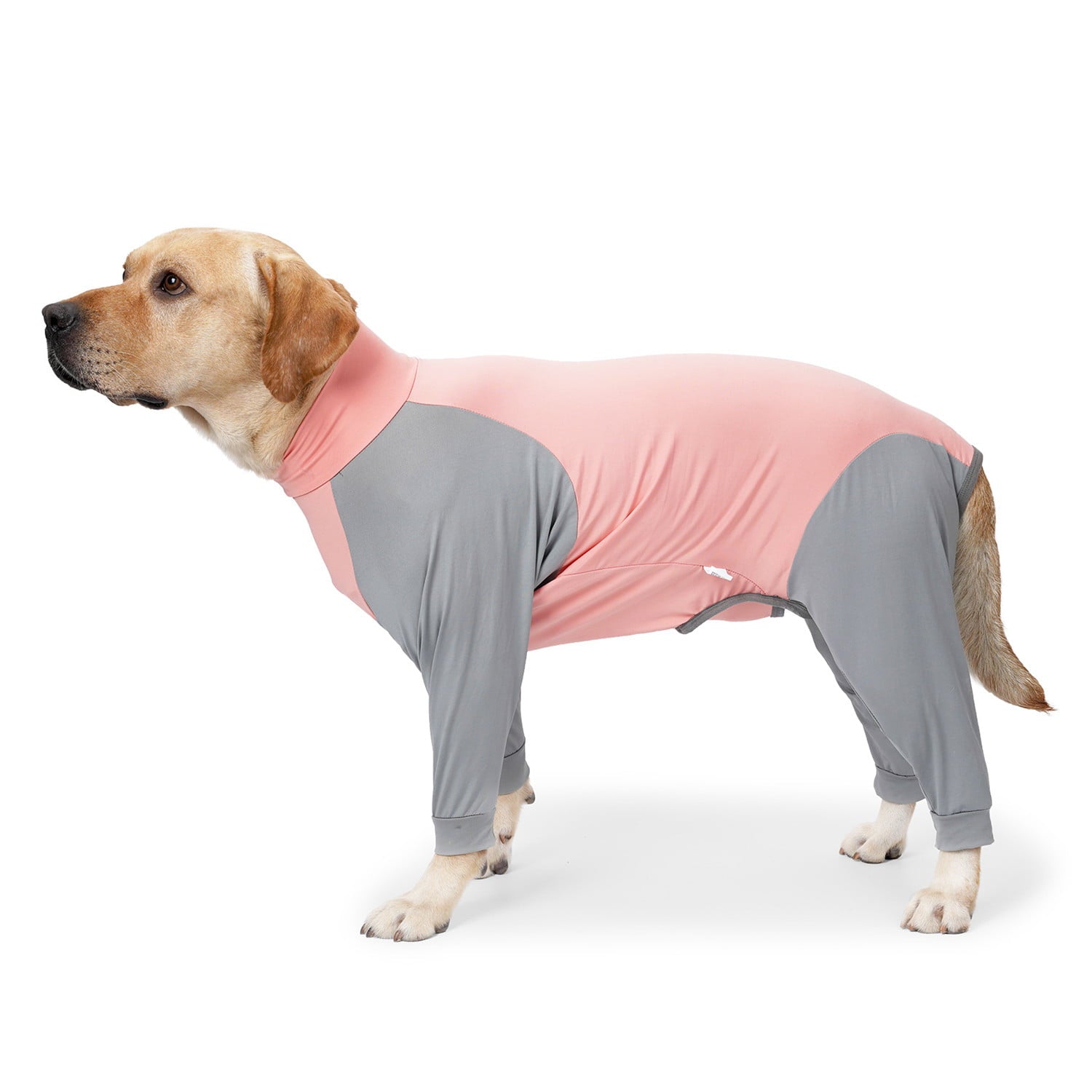 BT Bear Dog Recovery Suit， Dog Onesie Shedding Suit， Surgery Recovery Suit Full Coverage for Dog， After Surgery Wear E Collar Alternative， Anxiety Calming Shirt for Medium Large Dog Pink-Gray XS