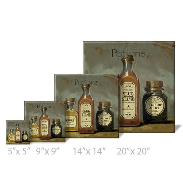 Sullivans Darren Gygi Potions Canvas Museum Quality Giclee Print Gallery Wrapped Handcrafted In Usa