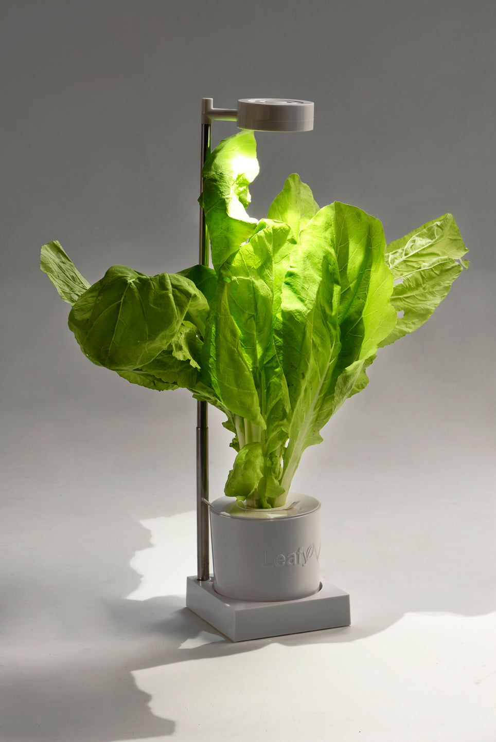 Leafy Desktop Hydroponics and Grow Light System