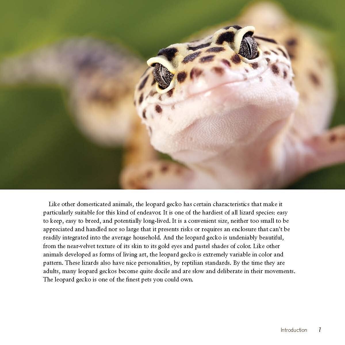 Leopard Gecko Manual