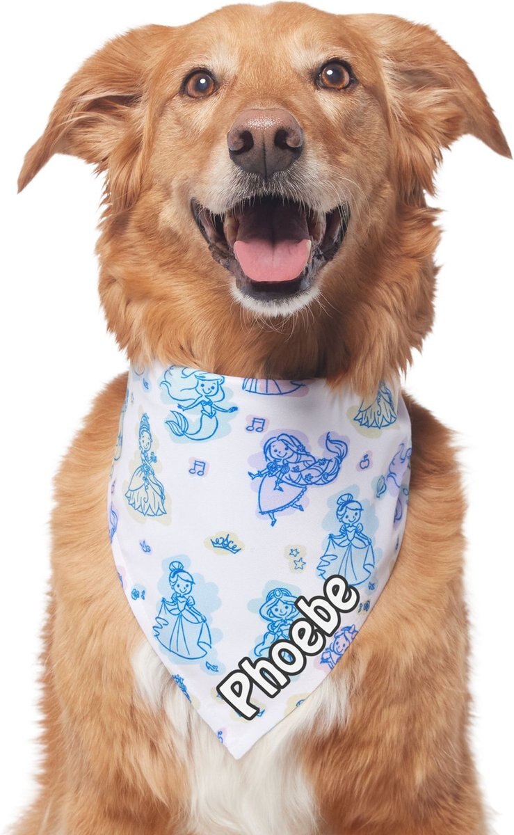 Disney Princesses Personalized Dog and Cat Bandana