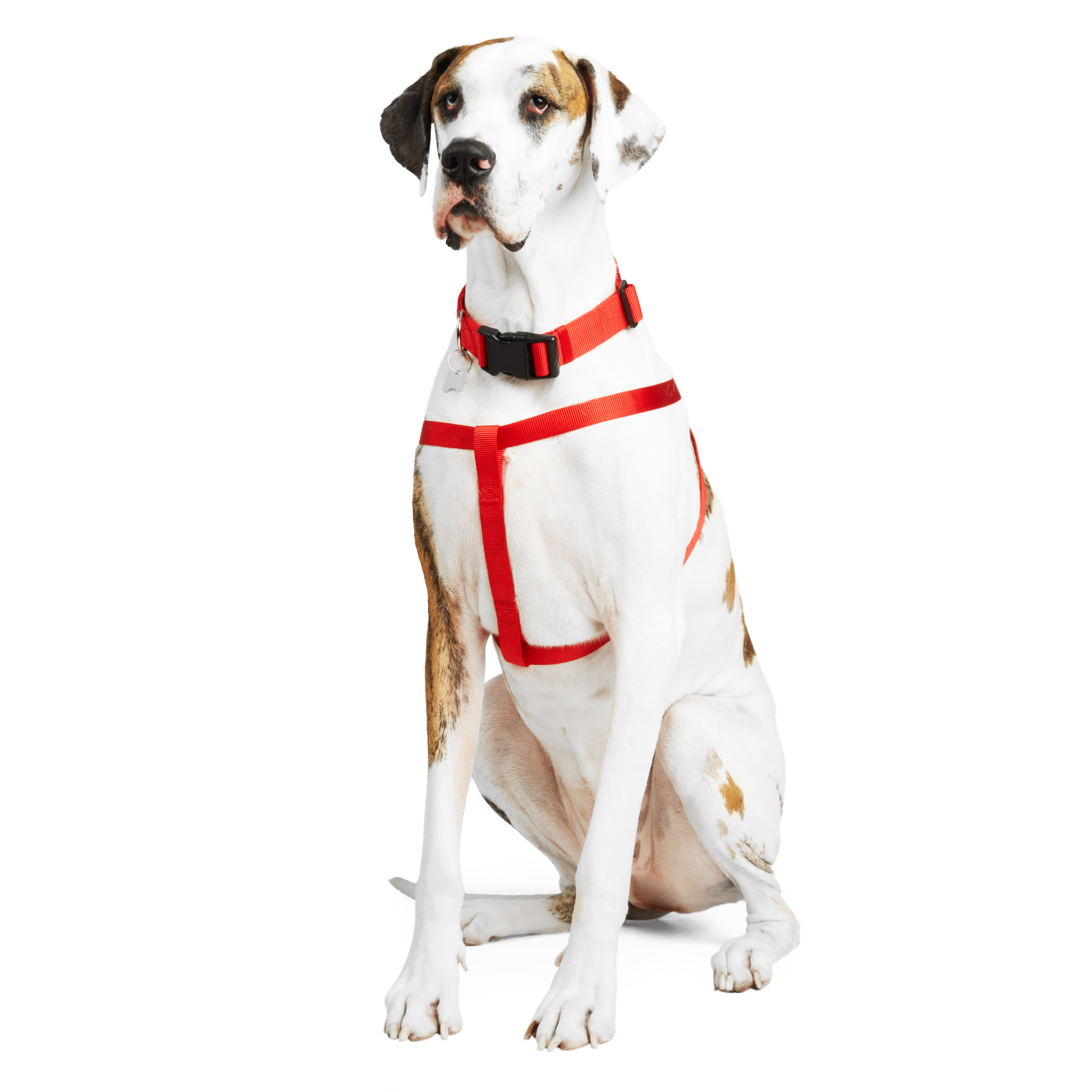 YOULY Red Dog Harness， X-Small