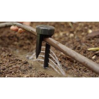 ROOT QUENCHER Deep Watering Irrigation Stake Spike2023