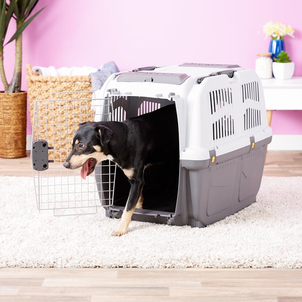 MidWest Skudo Deluxe Plastic Dog and Cat Kennel