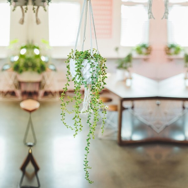 Artificial Plant STRING OF PEARLS MACRAME HANGING CERAMIC