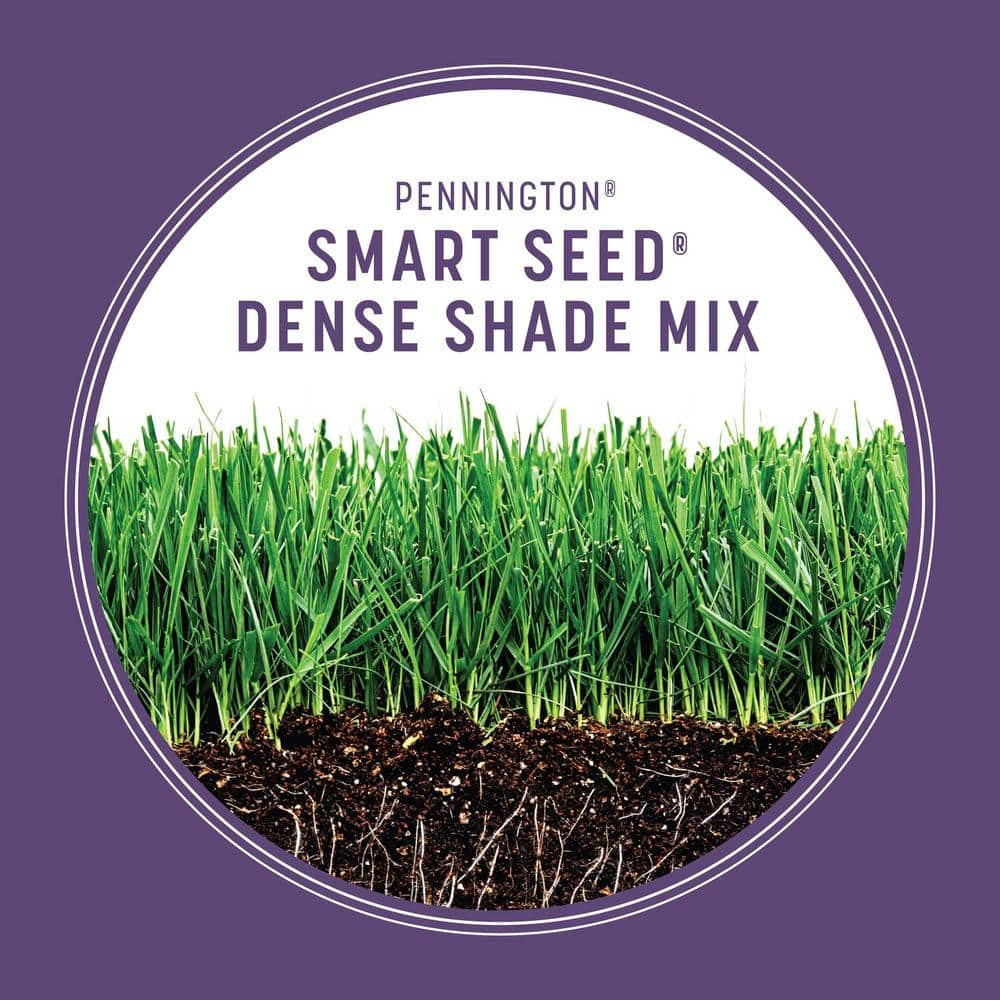 Pennington Smart Seed 3 lbs. Dense Shade Grass Seed and Fertilizer 100543702