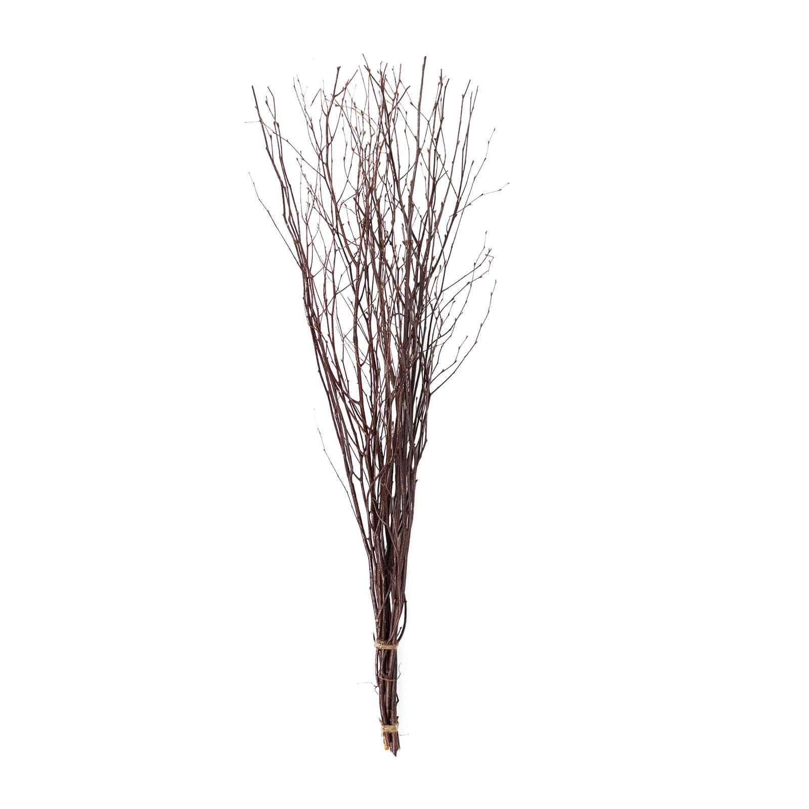 6 Pack Natural Decorative Birch Tree Branches, Extra Long Natural Dried Willow Twigs Sticks Vase Fillers - 46