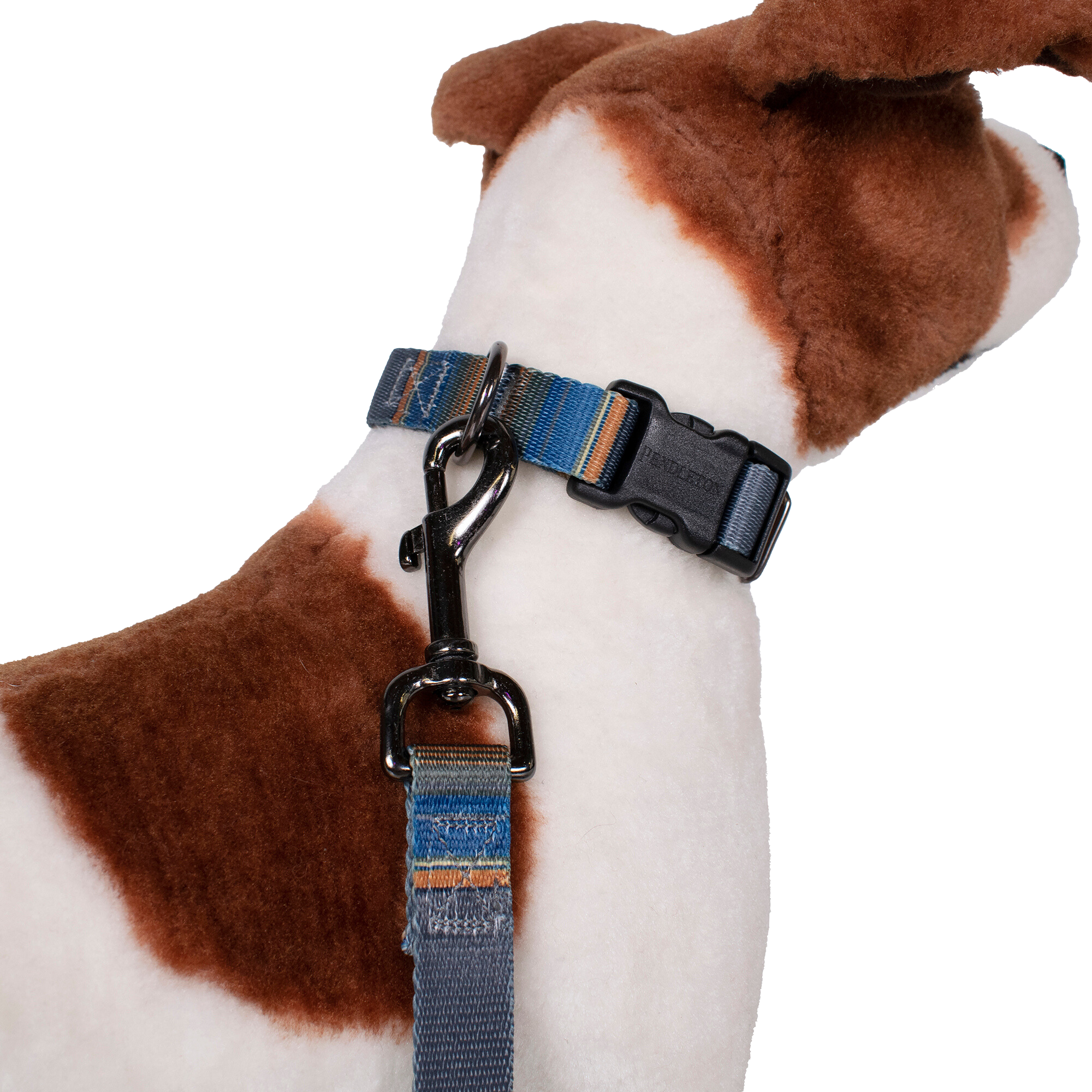 Pendleton Park Adventure Collar | Olympic