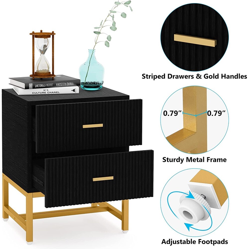 Nightstand 2 Drawer  Bed Side Table with Storage Cabinet End Table