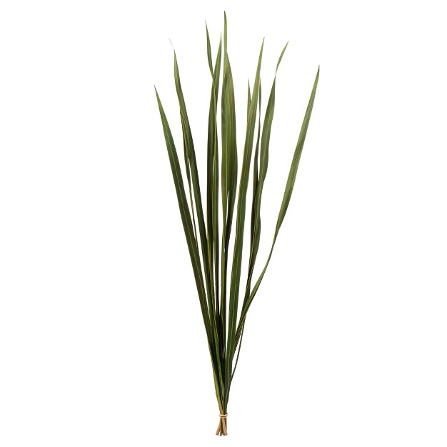 Snake Grass Dried 12 Stems