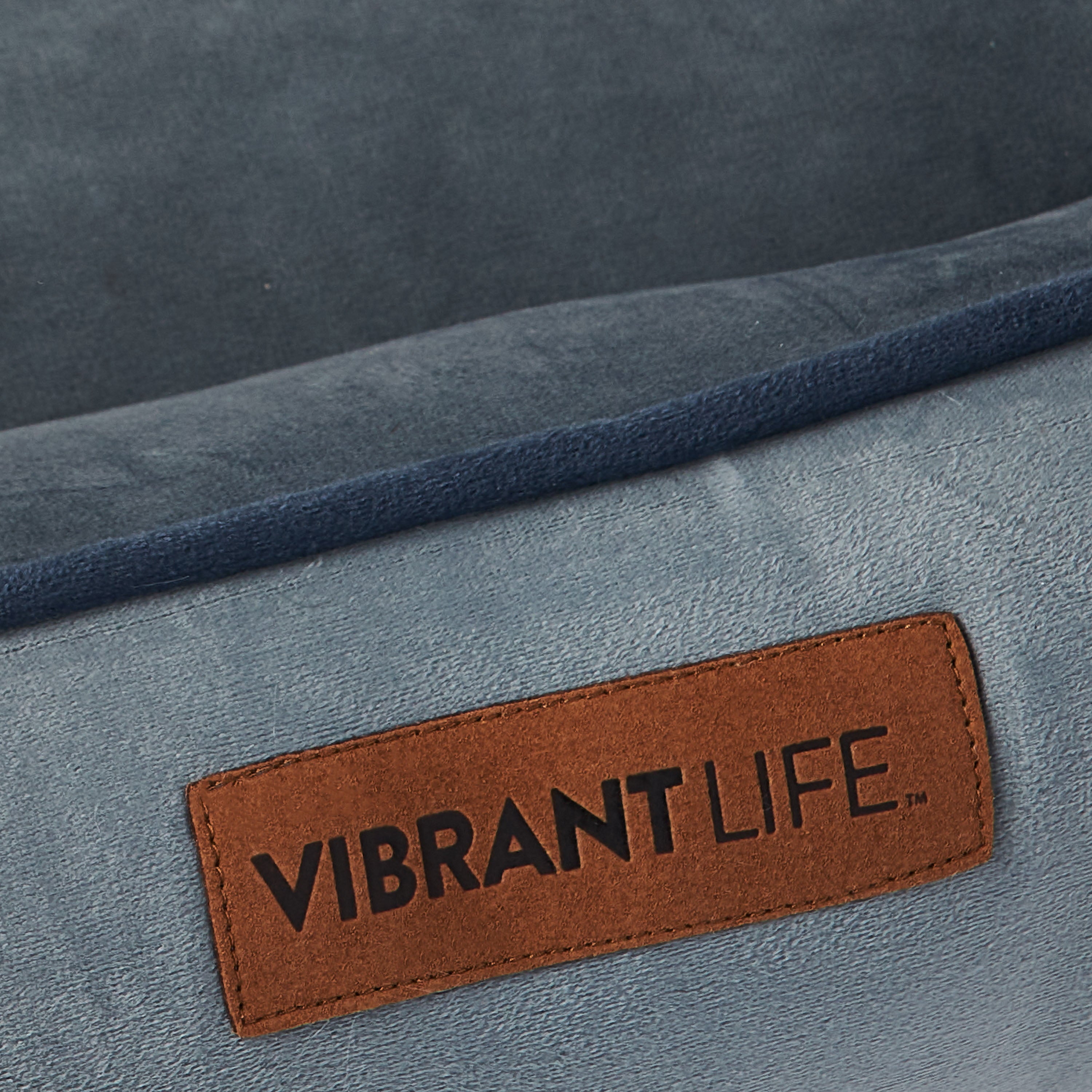 Vibrant Life Large Faux Velvet Box Dog Bed， Gray