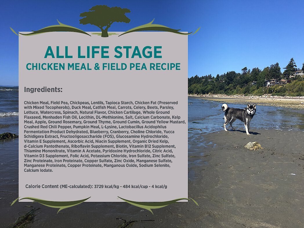 Blackwood Chicken Meal and Field Pea Recipe Grain-Free Dry Dog Food