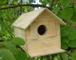 HAMMOND TOYS Wood Bird House Kit Complete With Nails