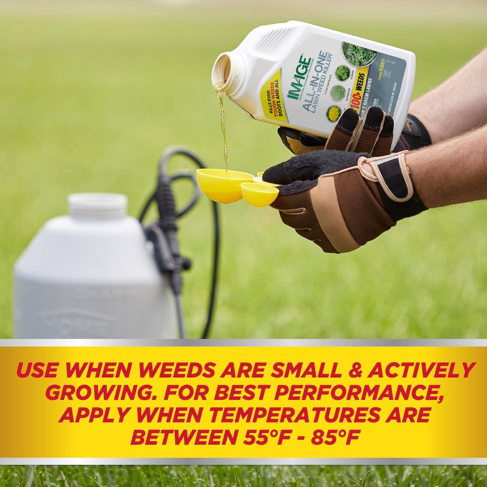 IMAGE Herbicides All-In-One Lawn Weed Killer Concentrate 100523495