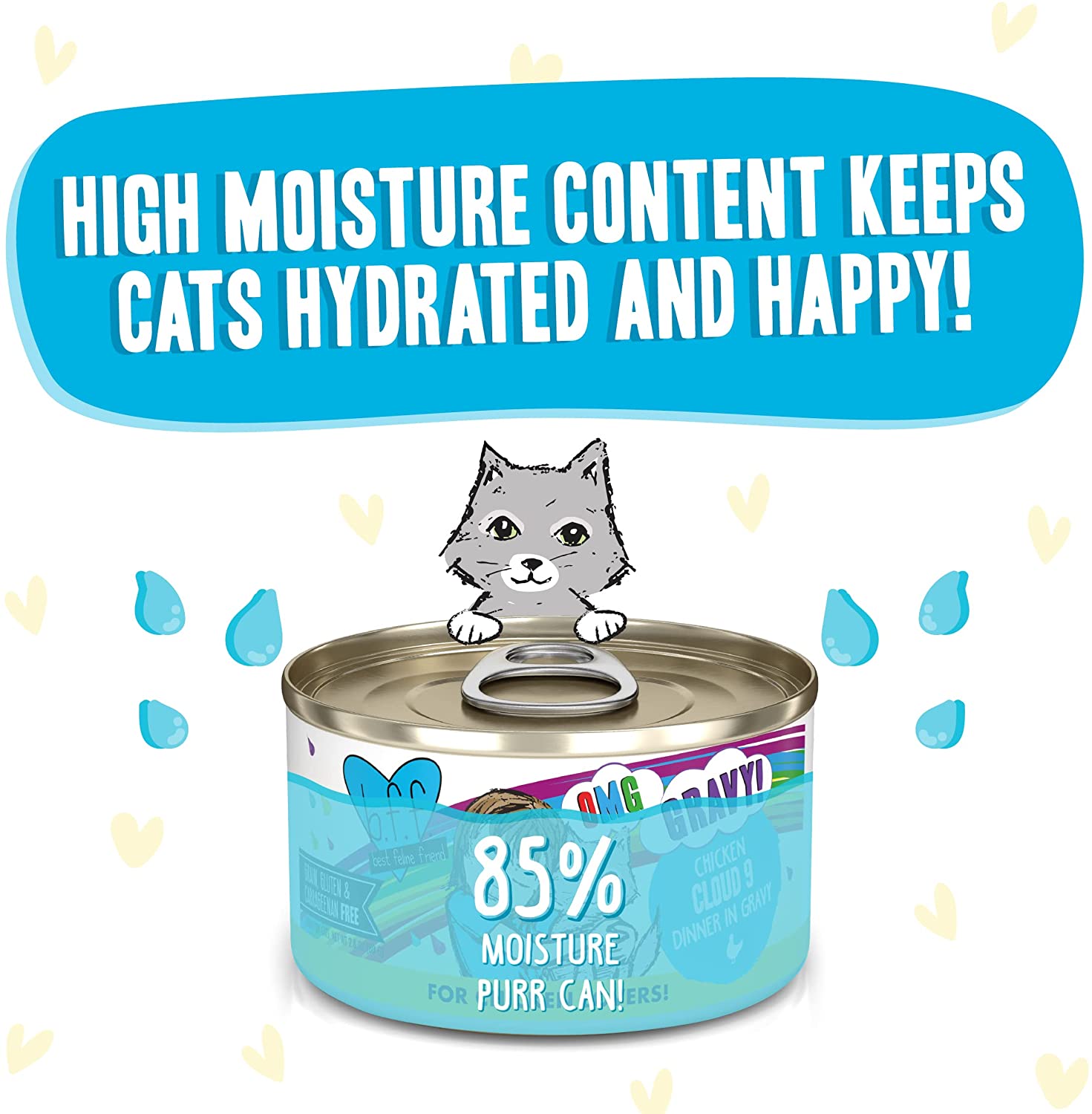 Weruva Wet Cat Food B.F.F. OMG - Best Feline Friend Oh My Gravy!， Chicken Cloud 9 with Chicken in Gravy， 2.8oz Can (Pack of 12)