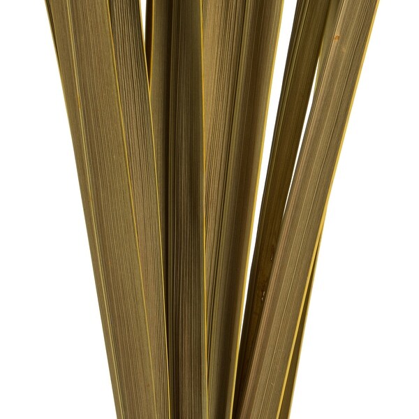 Vickerman 1830 Natural Snake Grass. Includes 36 Stems (3