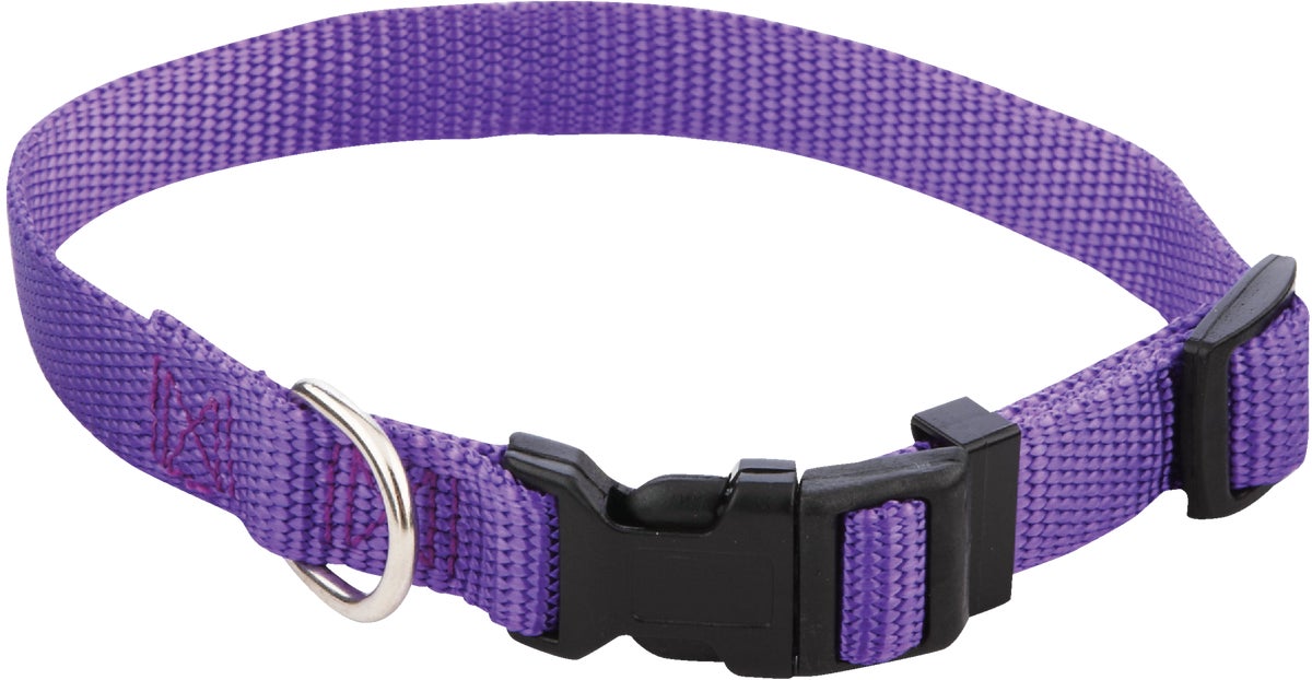 Westminster Pet Ruffinand#039 it Dog Collar Purple Pink Blue