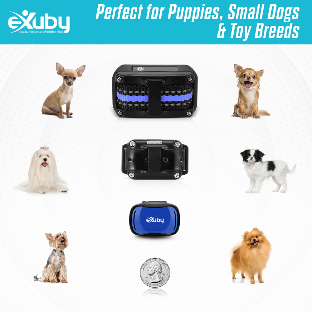 Exuby Tiny NO Shock Collar for Small Dogs 5-15lbs - Uses Vibration and Sound to Train Instead of Shock