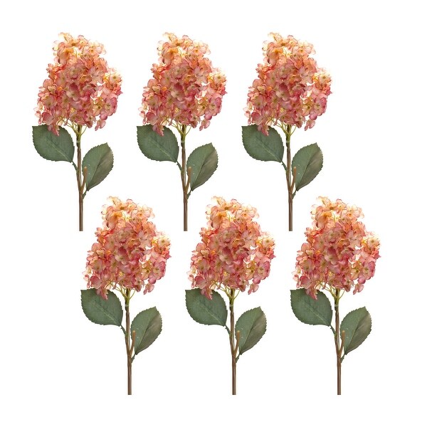 Cone Hydrangea Stem (Set of 6)