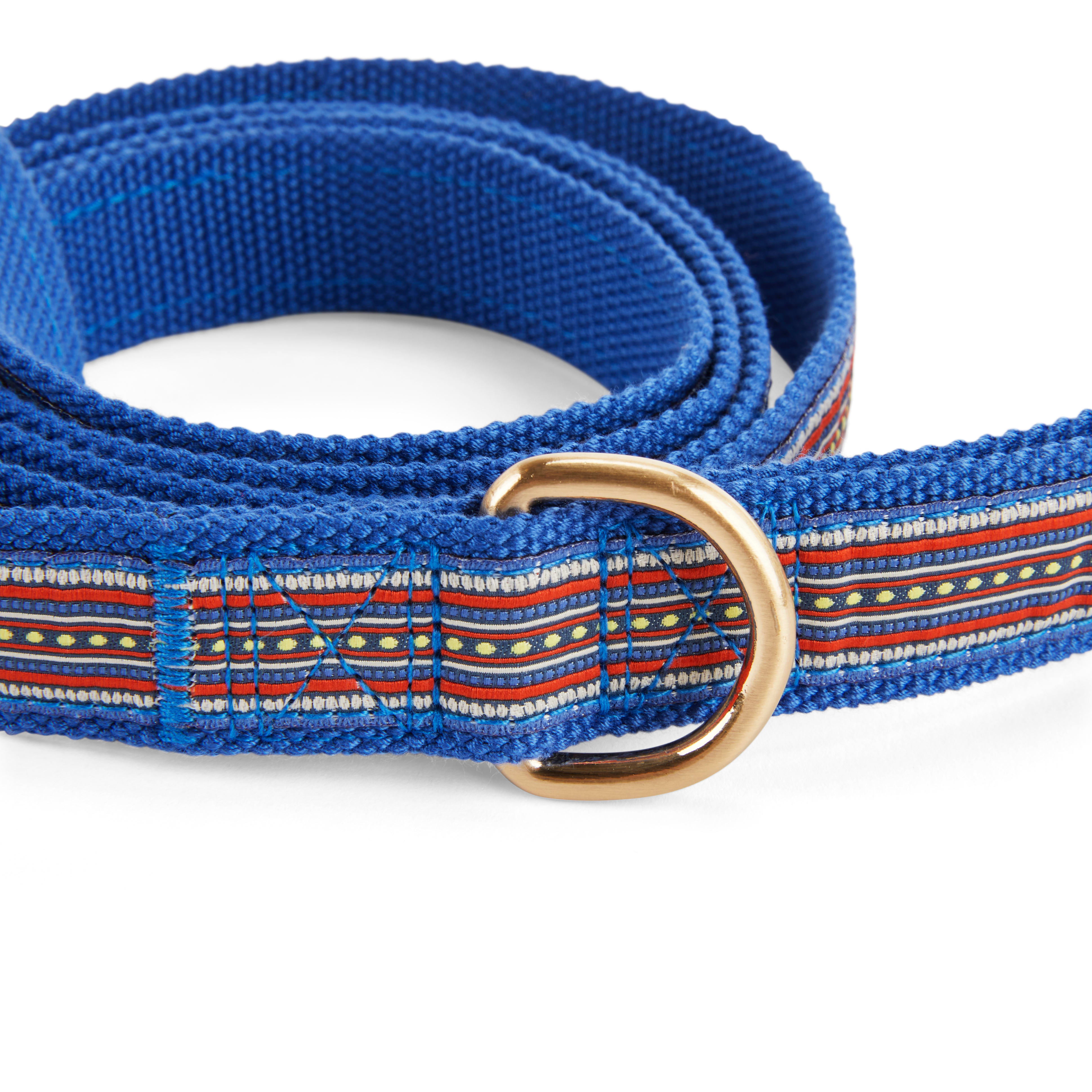 YOULY The Wanderer Blue Stitched Dog Leash， 6 ft.