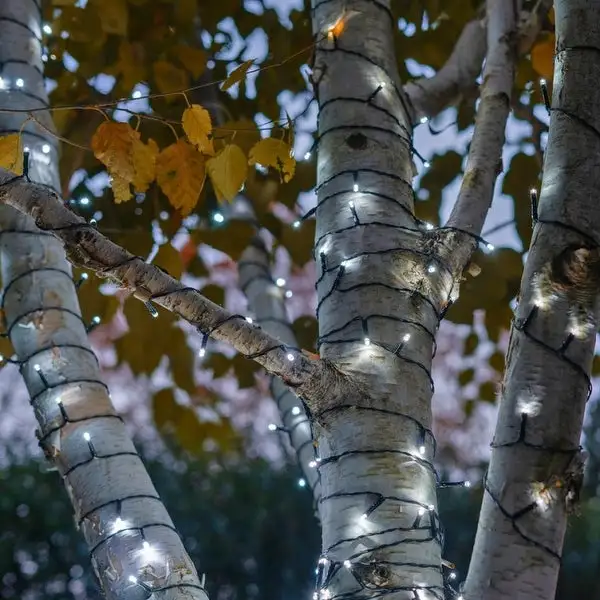 Solar Powered 125 LED String Light - Cool White