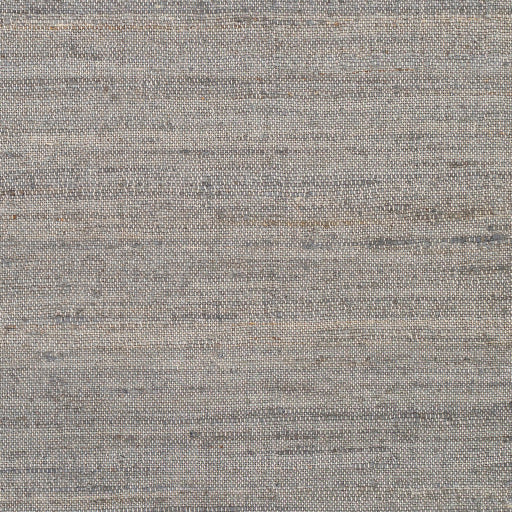 Evora Jute Medium Gray Rug