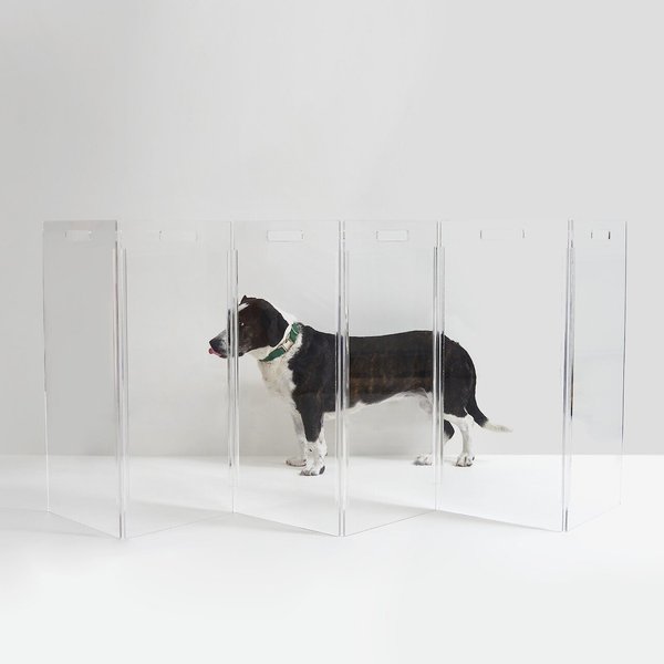 Hiddin Clear View Zig Zag Freestanding Dog Gate