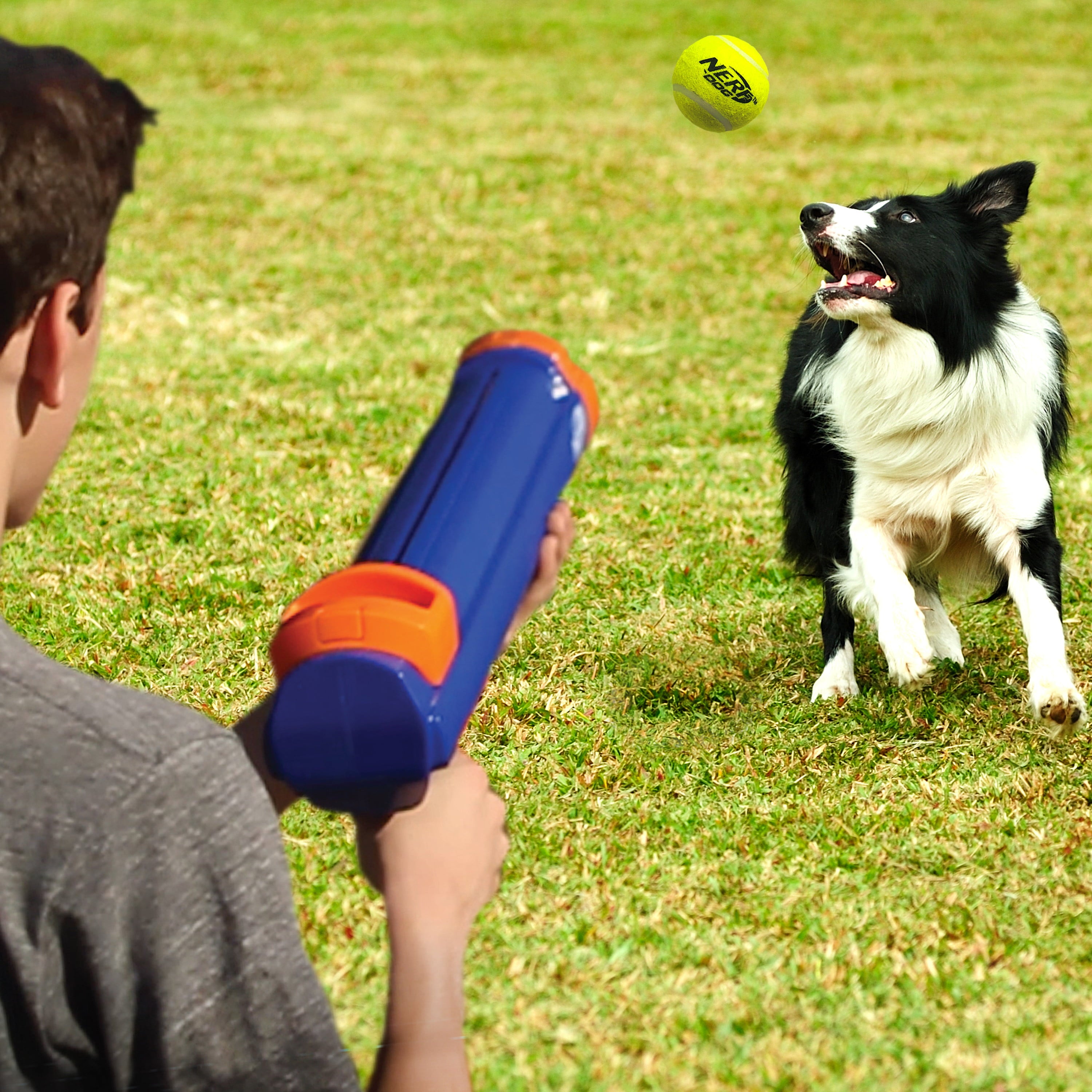 Nerf Dog 20-inch Tennis Ball Blaster Dog Toy with 4 Balls and Ball Clip