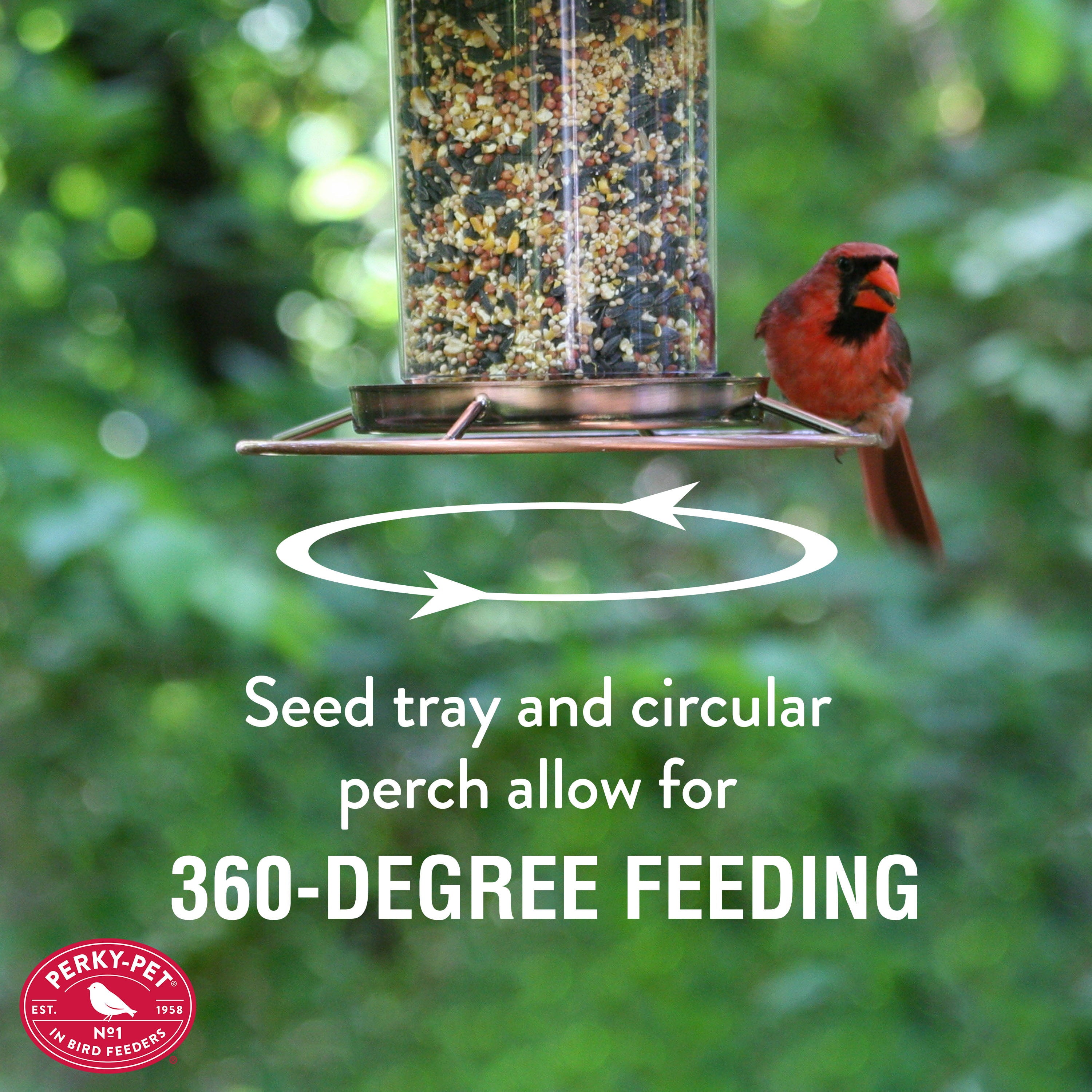 Perky-Pet Copper Panorama Wild Bird Feeder - 2 lb