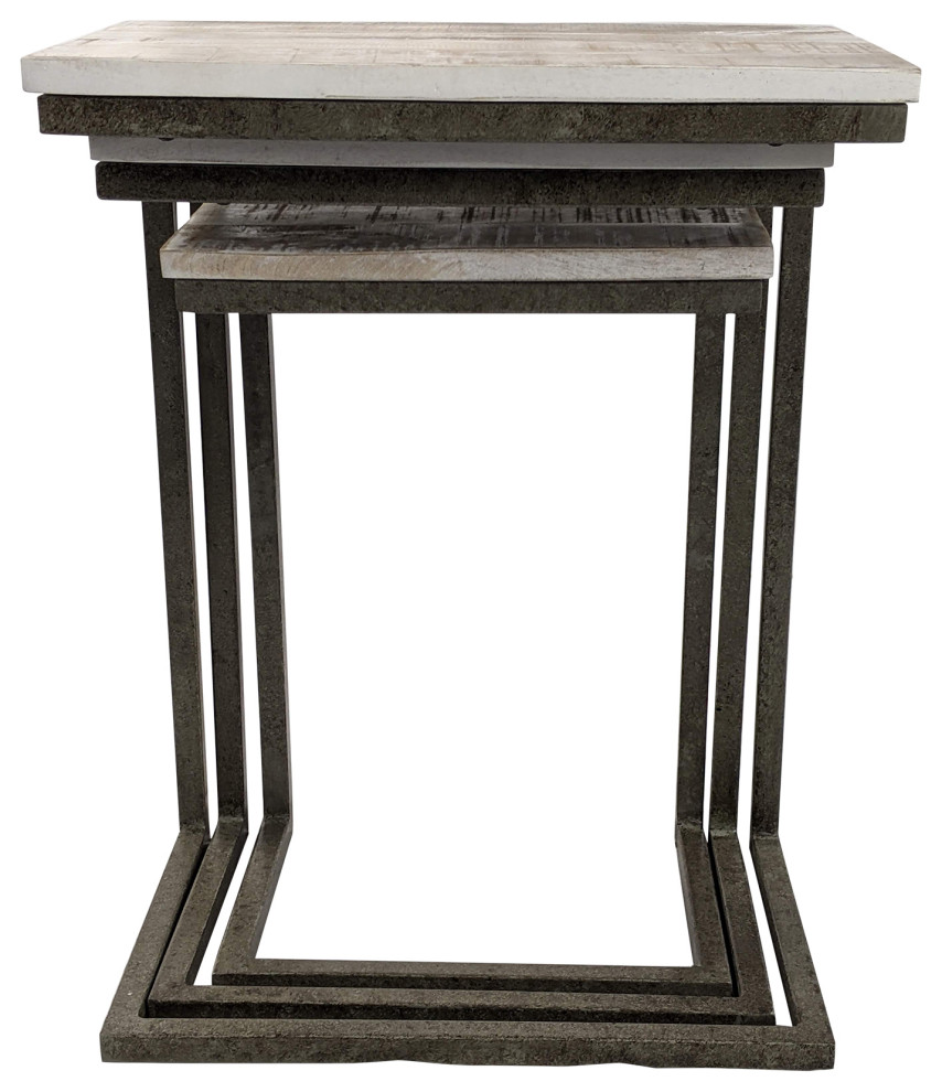 Easton Nesting Table Set   Industrial   Coffee Table Sets   by CAROLINA CLASSICS  Houzz