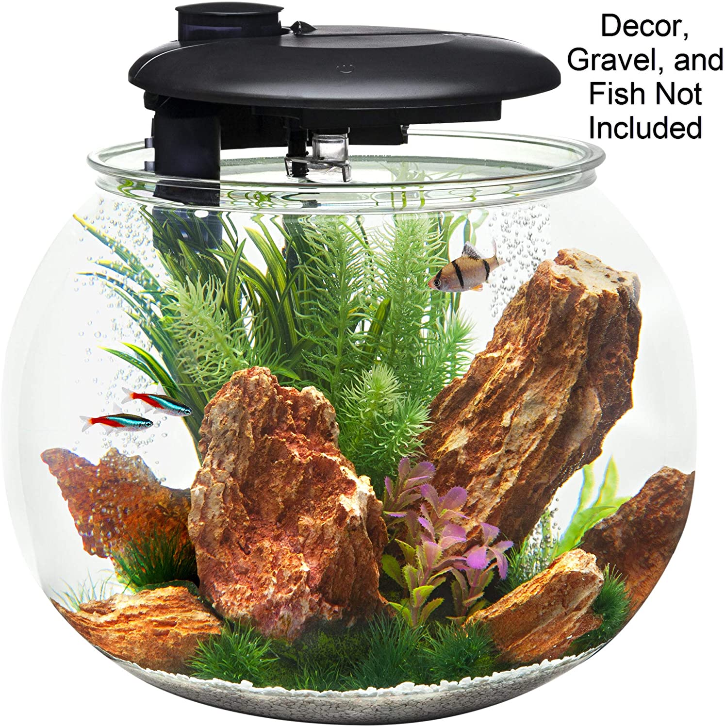 Penn-Plax AquaSphere 360 Polycarbonate Bowl-Shaped Aquarium for Fish – 10 Gallons