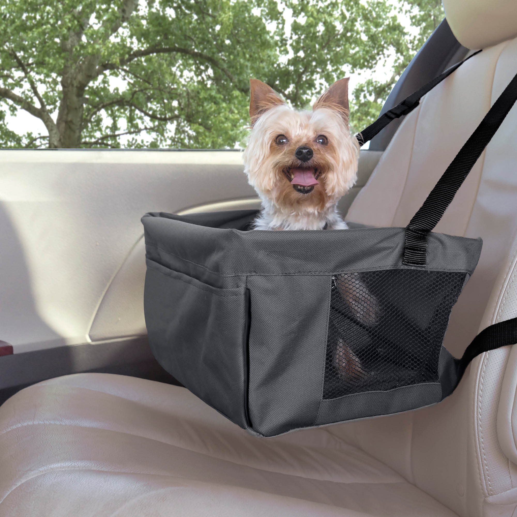 Premier Pet Car Booster Seat for Small Dogs: Keeps Dog Secure， Protects Seat， Easy to Install， Provides Elevated， Unobstructed View Helping with Pet Car Sickness， Works in Any Vehicle with Headrests