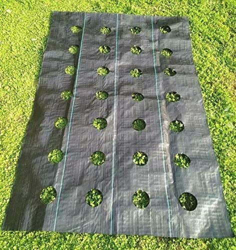 Agfabric Easy-Plant Weed Block for Raised Bed Outdoor Garden Weed Rugs Garden mat 3.0oz, 4'x12',with Planting Hole Dia 4"