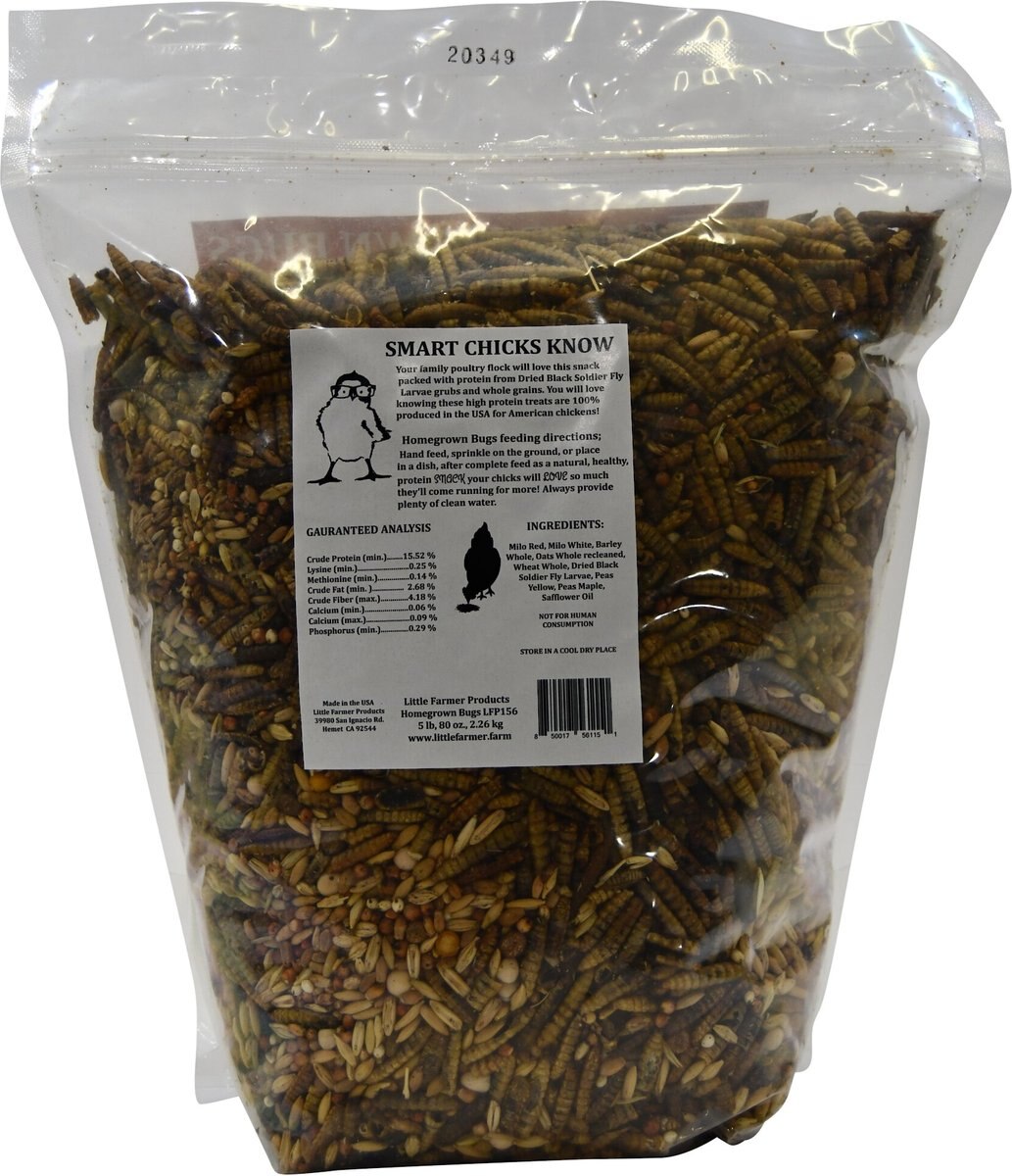 Little Farmer Products Homegrown Bugs Black Soldier Fly Grubs and Grains Chicken Treats