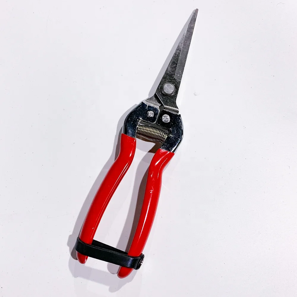 Hydroponic Greenhouse Blade Cutter Stainless Steel Garden Scissor Pruner Gardening Hand Pruner Small Trimming Pruning Shears