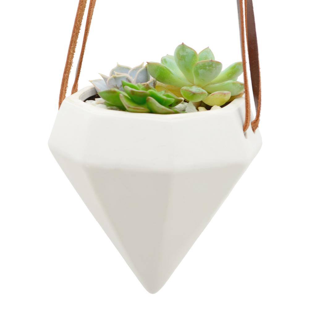 Arcadia Garden Products Diamond 4-12 in. x 4-12 in. Matte White Ceramic Hanging Planter AP13W