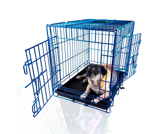 Pet Expressions Colored Metal Wire Dog Crate， 24