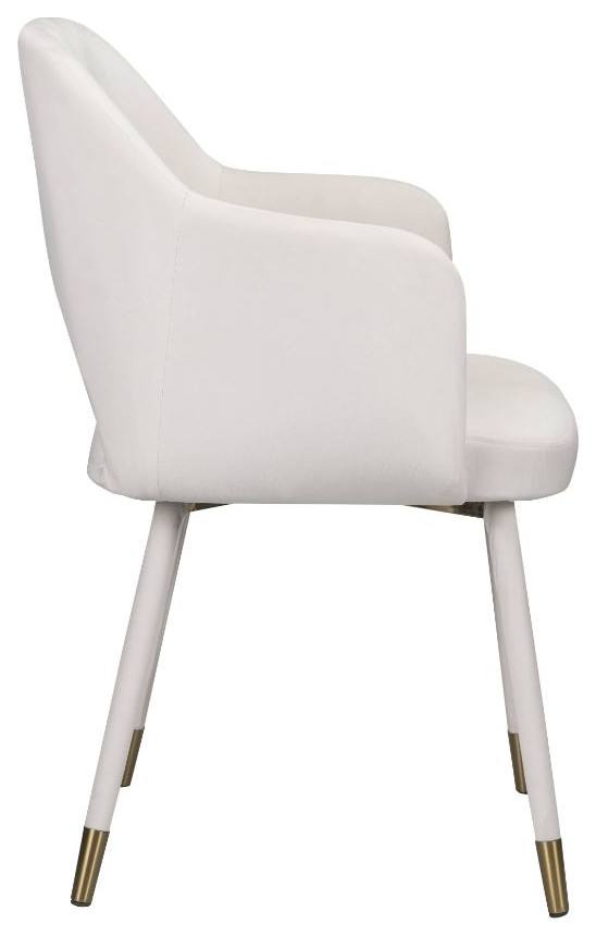 Acme Applewood Accent Chair Cream Velvet and Gold   Midcentury   Armchairs And Accent Chairs   by AMOC  Houzz