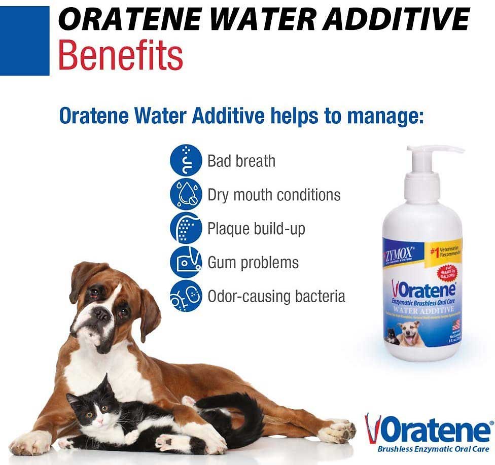 Oratene Enzymatic Brushless Oral Care Dog and Cat Dental Water Additive  andndash; Pet Empire and Supplies