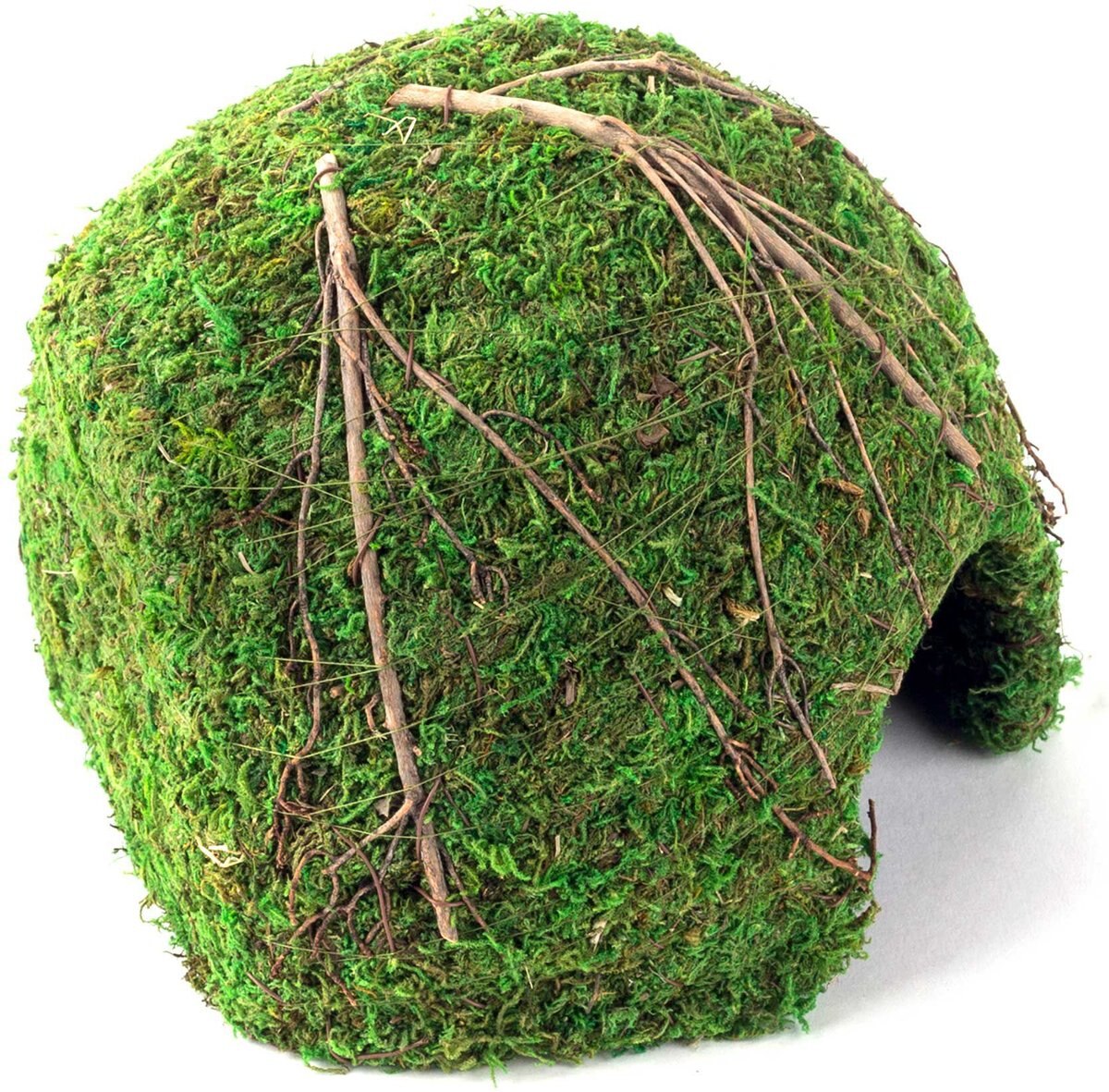 Galapagos Mossy Dome Reptile and Amphibian Terrarium Accessory， Fresh Green