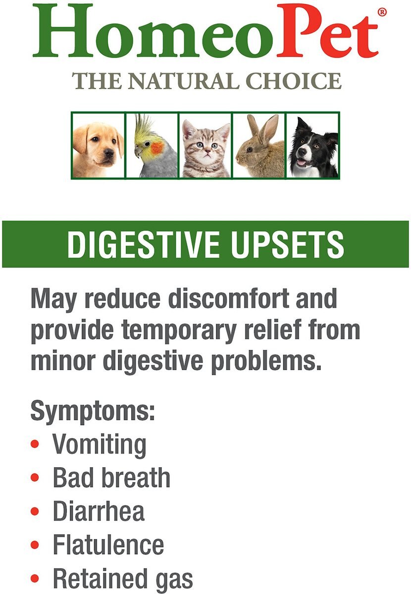 HomeoPet Digestive Upsets Homeopathic Medicine for Digestive Issues for Birds， Cats， Dogs and Small Pets