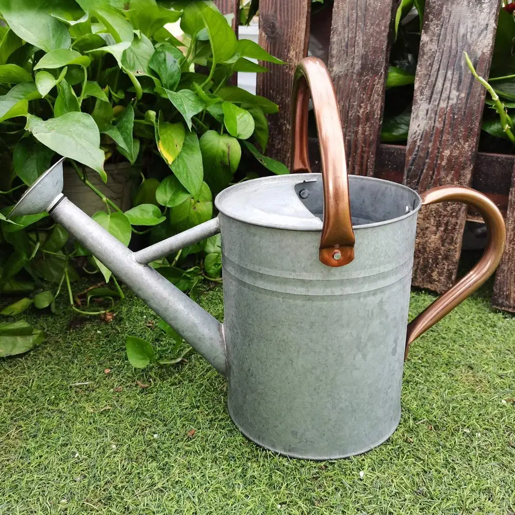 Best Quality Design Metal Watering cane with customize finished for Garden Decoration at Cheap Price